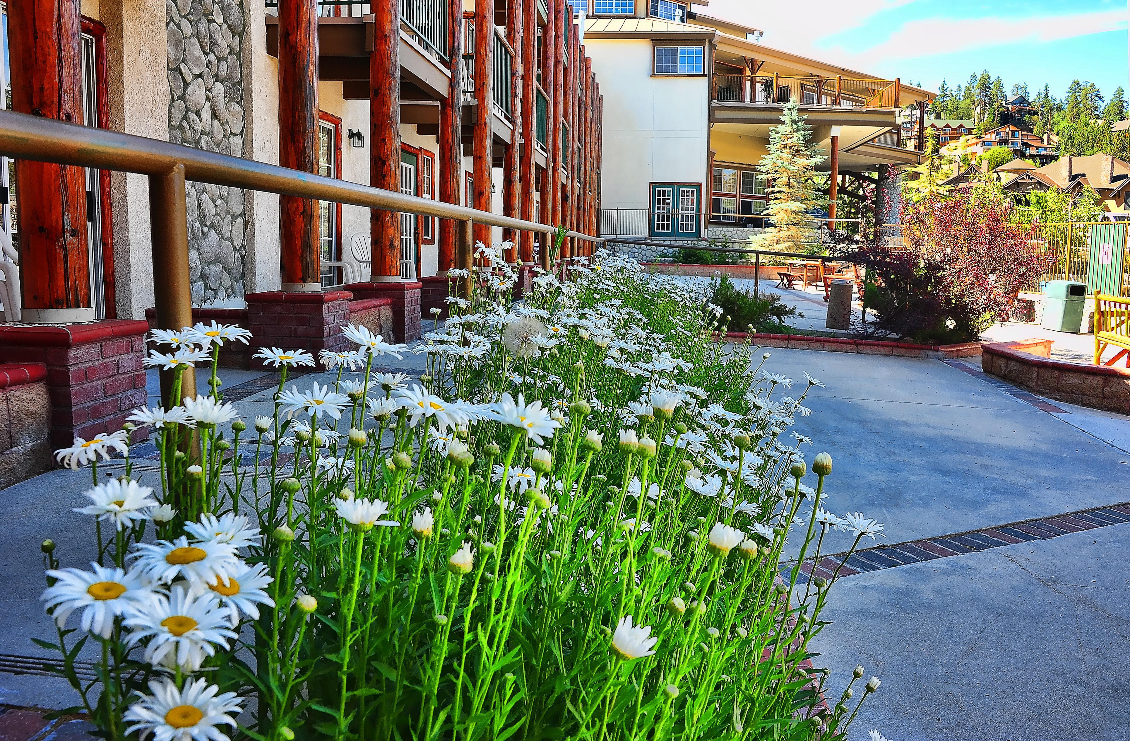 Holiday Inn Resort The Lodge At Big Bear Lake By Ihg Exterior foto